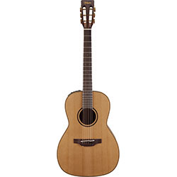 Takamine Pro Series 3 New Yorker AC/EL Guitar