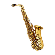 J.Michael AL600 Alto Saxophone (Eb) in Clear Lacquer Finish