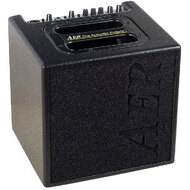 AER "Alpha" Acoustic Instrument Amplifier(40 Watt)