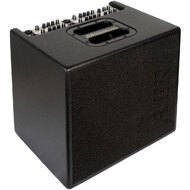 AER "Domino 3" Acoustic Instrument Amplifier (2 x 100 Watt)