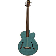 Aria FEB-F2/FL Elecord Series Fretless AC/EL Bass Guitar in Stained Green