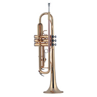 J.Michael TR380 Trumpet (Bb) in Clear Lacquer Finish