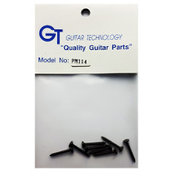 GT Wood Screws with Oval Head in Black Finish - 2mm x 14mm (Pk-10)