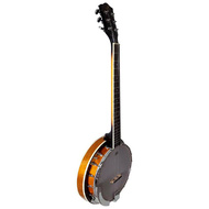 J.Reynolds 6-String Banjo with Resonator in 2-Tone Sunburst Gloss