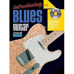 Introducing Blues Guitar Book/CD