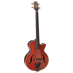 Takamine Legacy Series Upright AC/EL Fretless Bass with Cutaway