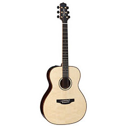 Takamine Custom Pro 5 Series Orchestral AC/EL Guitar