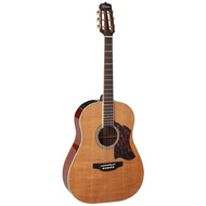 Takamine Thermal Top Series Round Shoulder AC/EL Guitar in Natural Gloss Finish