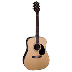 Takamine "Glenn Frey" Artist Series Dreadnought AC/EL Guitar in Natural Gloss Finish