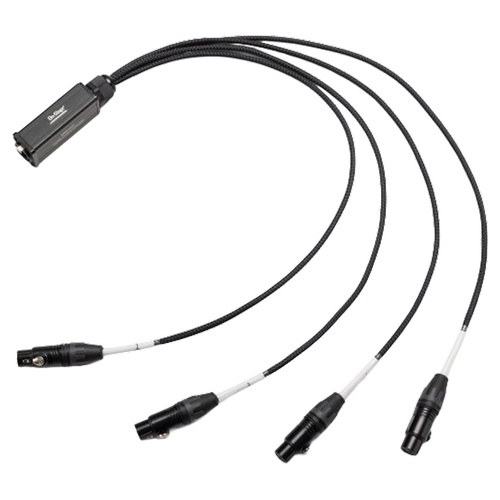On Stage Production Grade 4-Channel Signal Snake Cable (4 x XLR Female - RJ45)