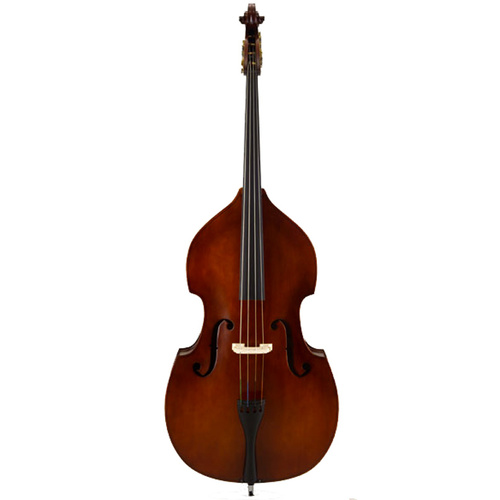 Carlo Giordano SB200 Series 3/4 Size Gamba Double Bass Outfit